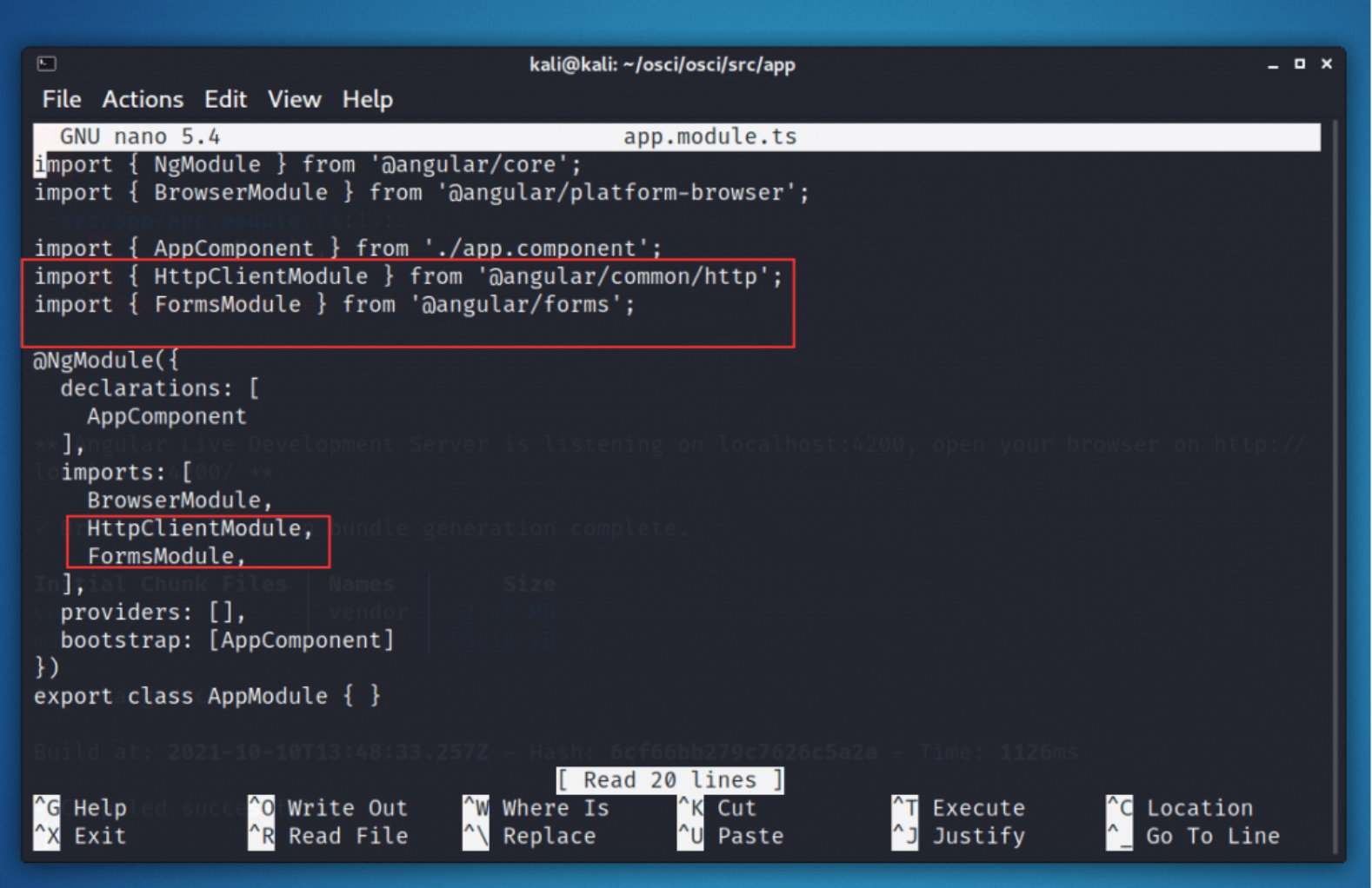 Angular Command Injection: Examples and Prevention - Picture 1