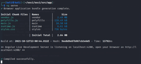 Preventing Command Injection Attacks in Angular Applications