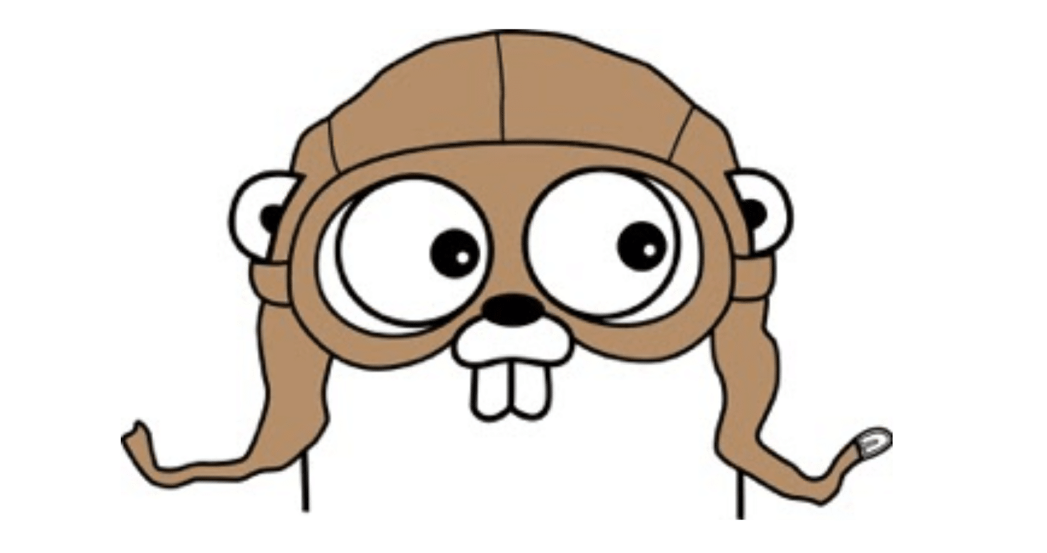 Golang CSRF Protection Guide: Examples and How to Enable It - Picture 1
