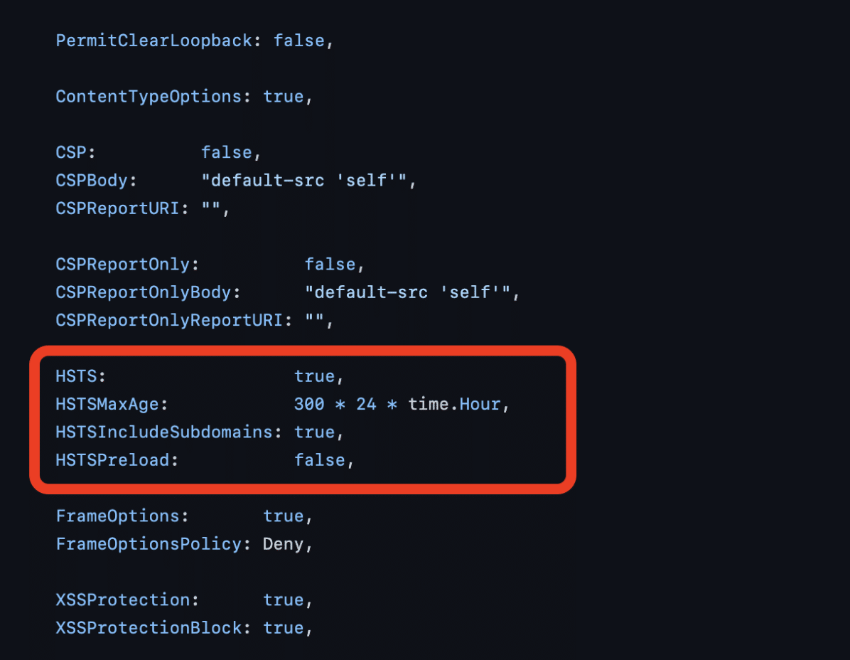 Golang HTTP Strict Transport Security Guide: What It Is and How to Enable It - Picture 1