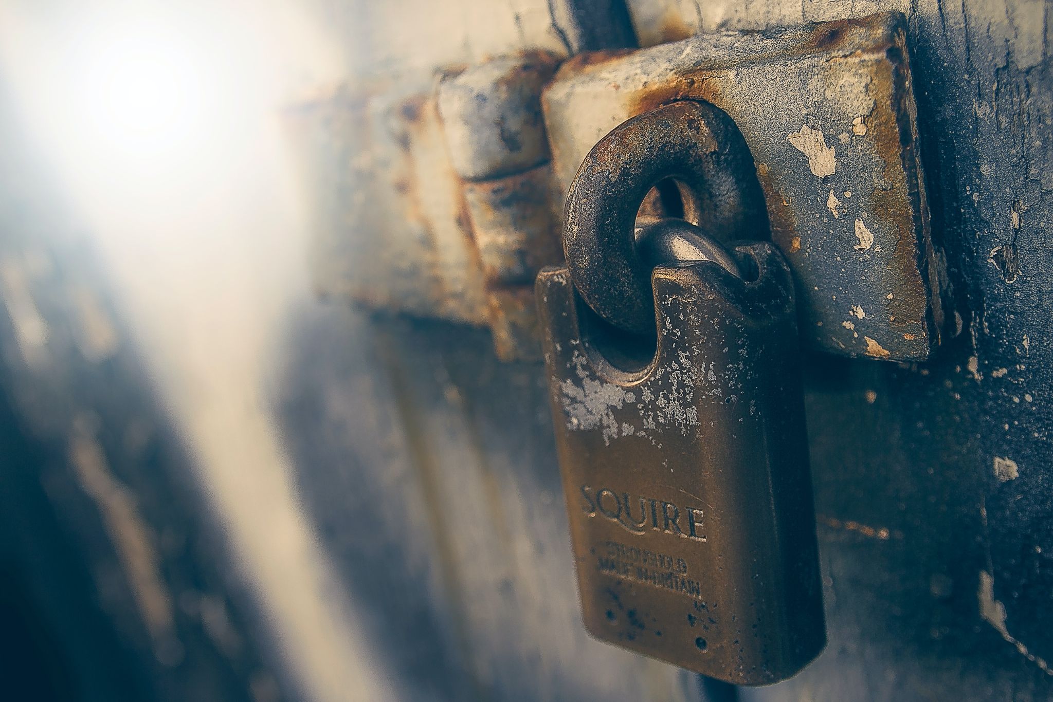Vue Broken Access Control Guide: Examples and Prevention - Picture 1