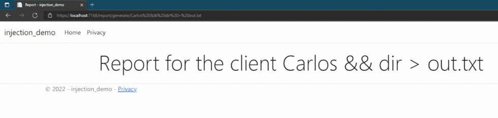 .NET Command Injection: Understanding the Basics