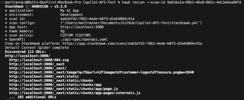 Terminal window showing the output of a StackHawk scan, listing environment variables, app info, and discovered URLs such as /favicon.ico, /next/static, and /api/spec. The scan ID and user information are also visible.